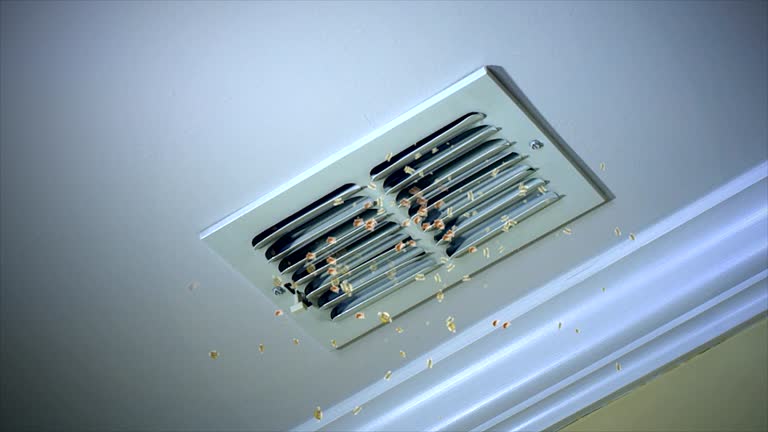 Best Commercial HVAC Duct Cleaning  in Mount Pleasant, WI