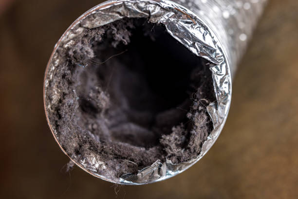 Best Commercial Air Duct Cleaning  in Mount Pleasant, WI