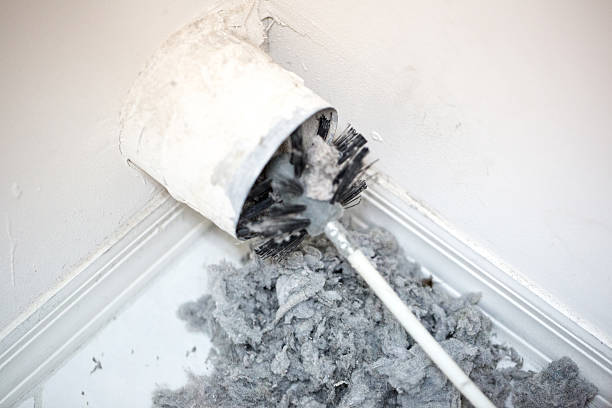 Best Air Vent Cleaning Services  in Mount Pleasant, WI